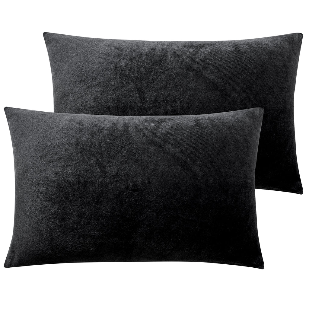 2 Pack Velvet Ultra Cozy Pillowcases with Zipper