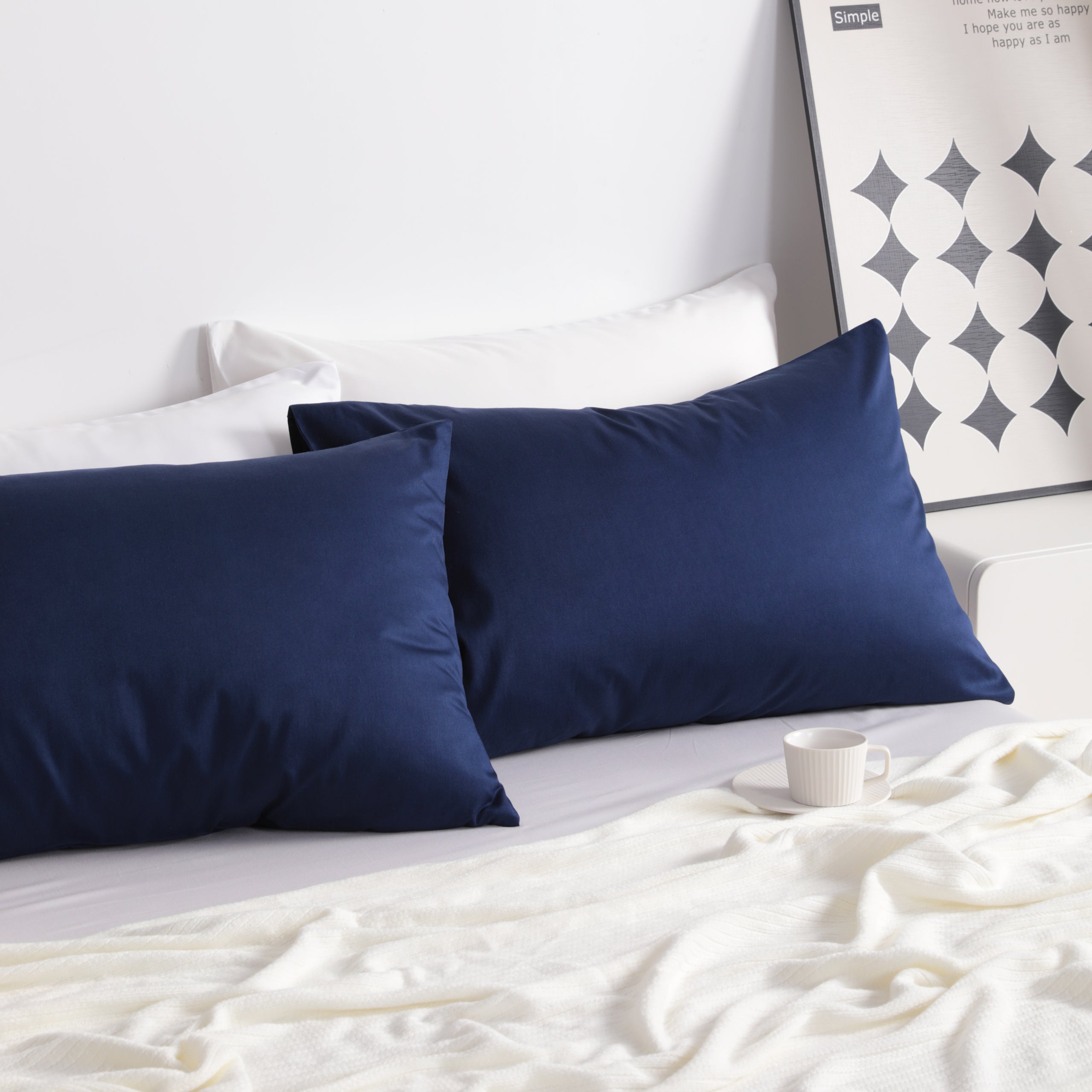 2 Pack Cotton Ultra Soft Pillowcases