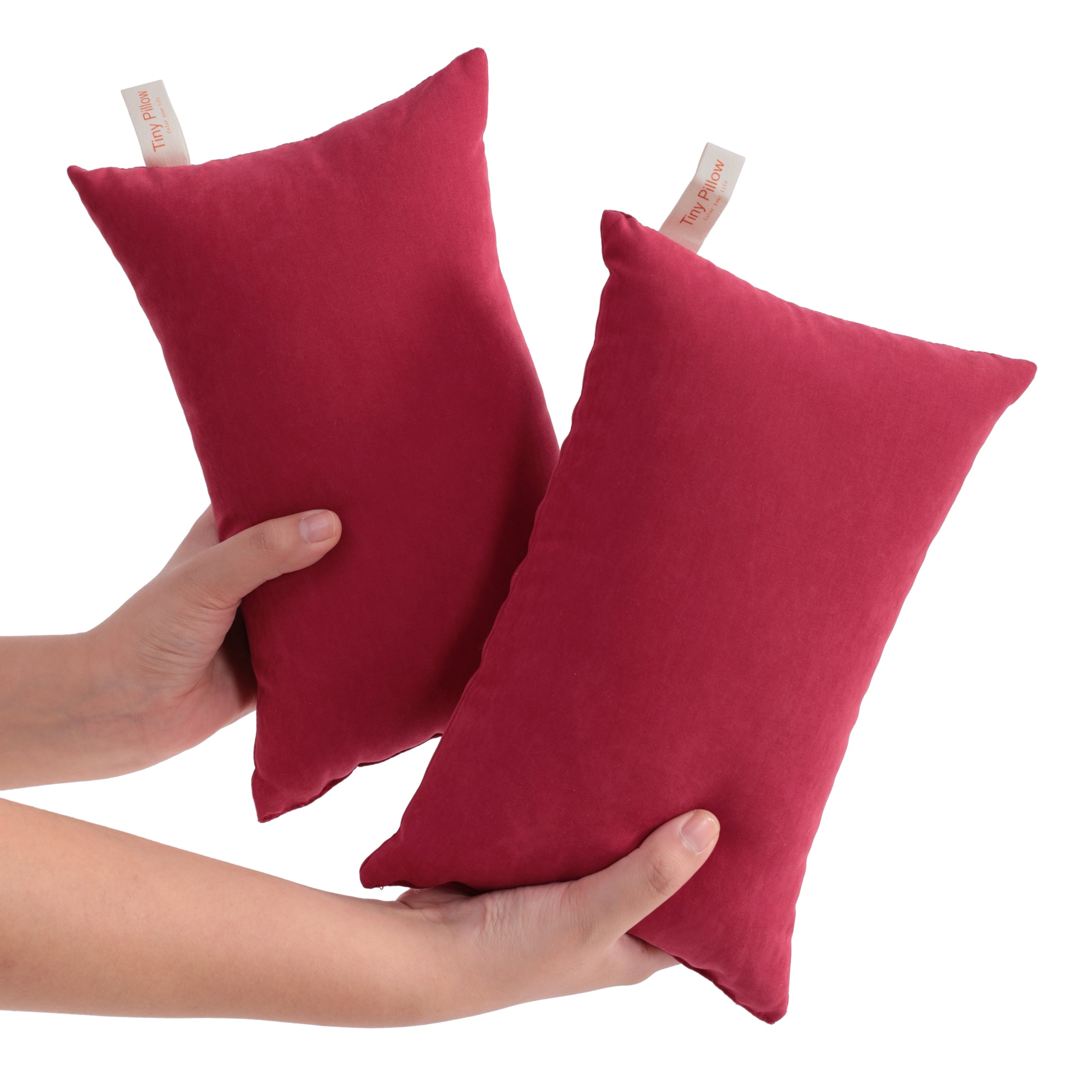 2 Pack Microfiber Soft Tiny Pillows