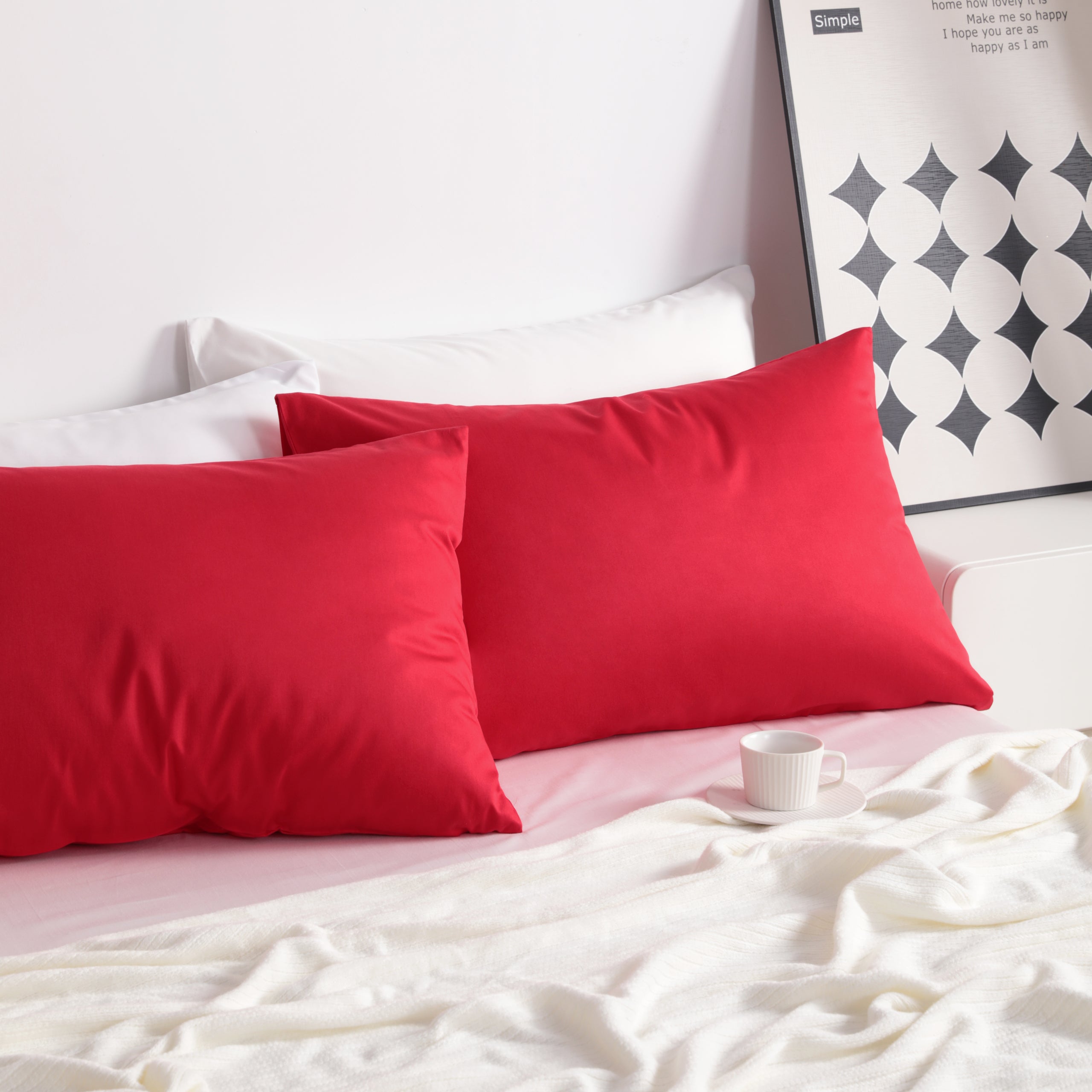 2 Pack Cotton Ultra Soft Pillowcases