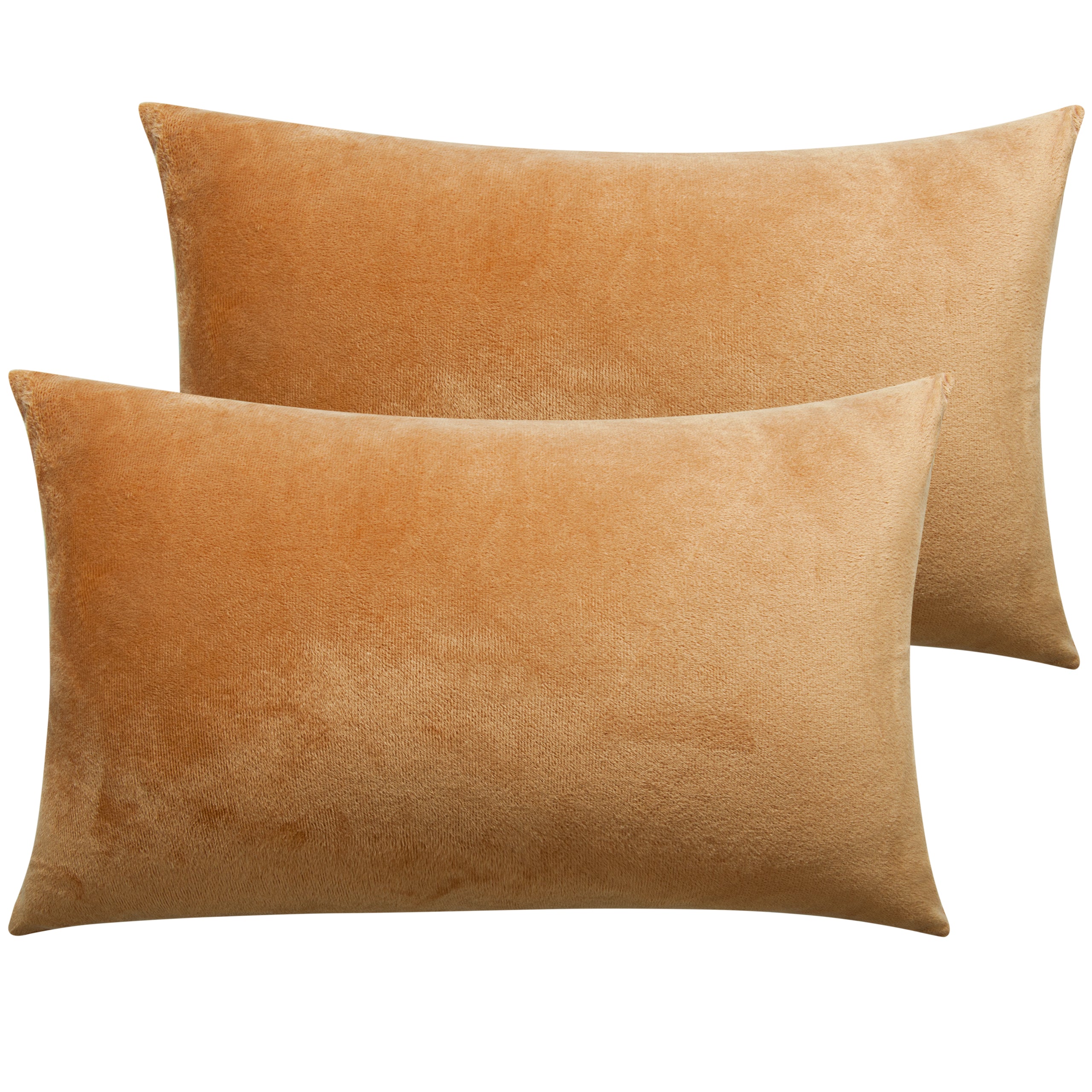 2 Pack Velvet Ultra Cozy Pillowcases with Zipper