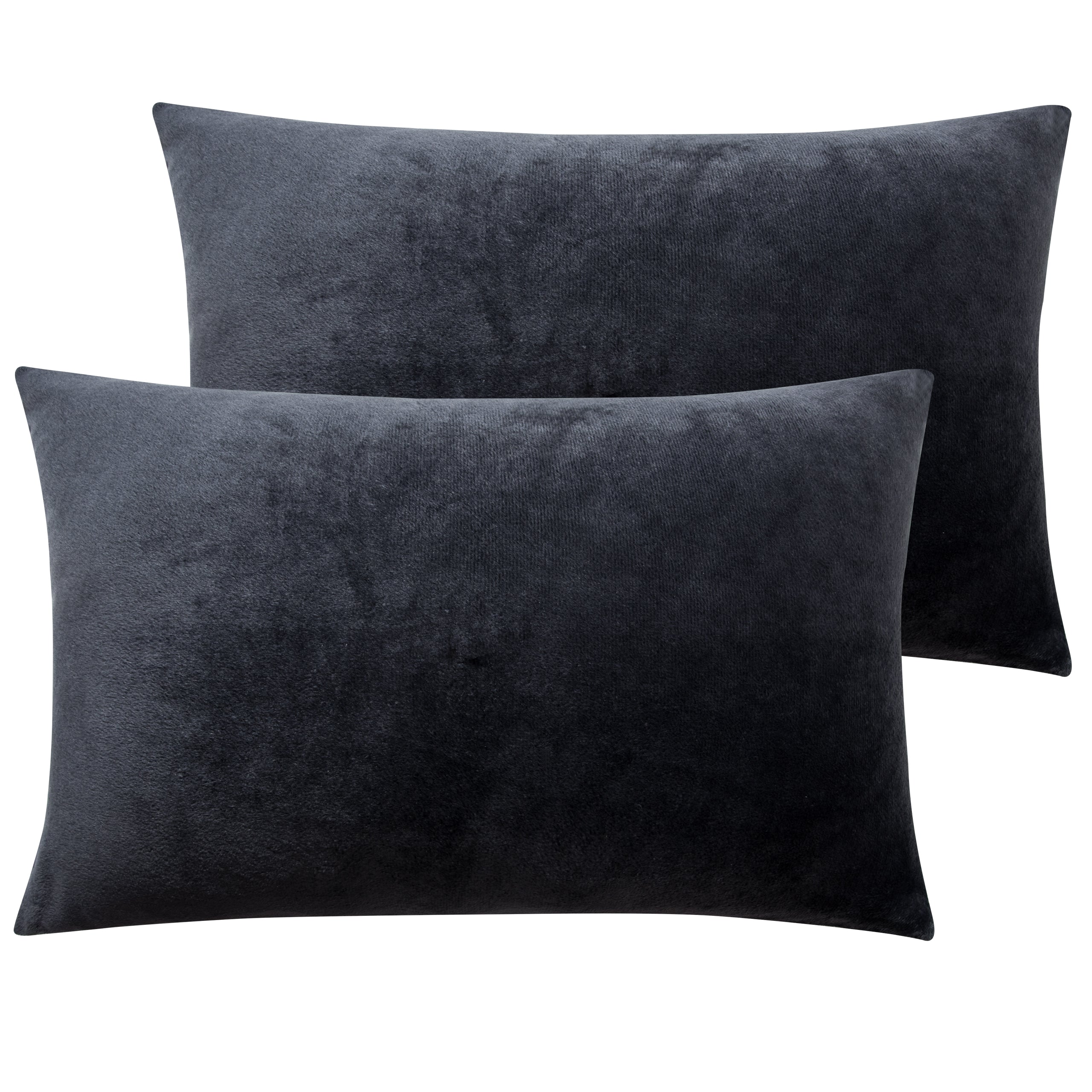 2 Pack Velvet Ultra Cozy Pillowcases with Zipper