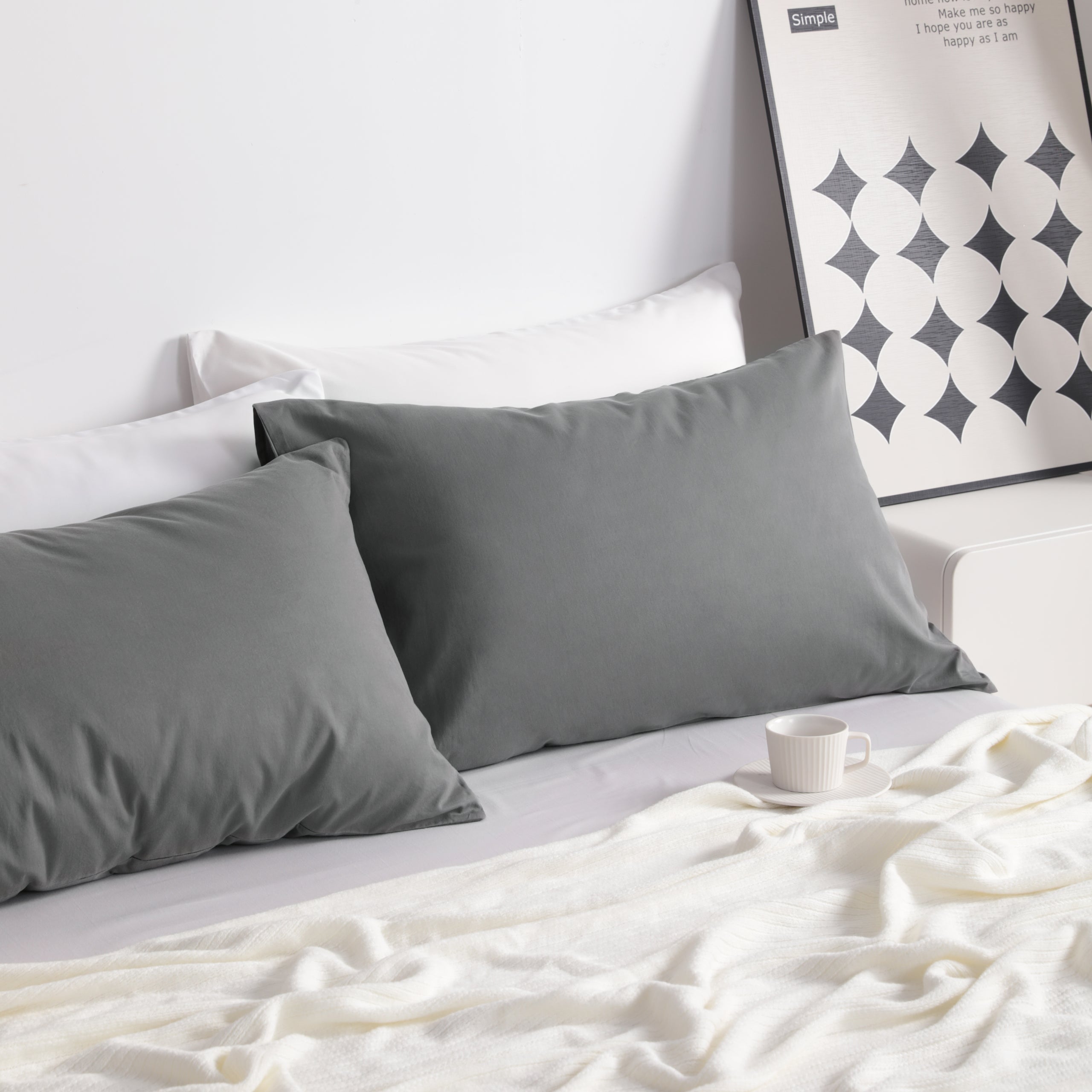 2 Pack Cotton Ultra Soft Pillowcases